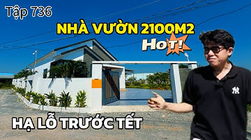 Thua lỗ đầu tư🔥nhà vườn nông thôn mái thái đẹp mê ly (2100m²) tại QL50 | Tập 736 - Việt Phạm Nhà Đất