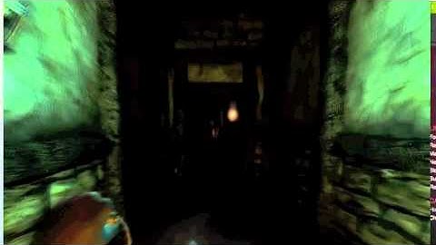 Lets Play, Amnesia Martins Survival Custom story!