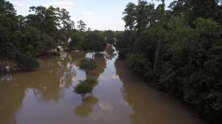 Cypress Creek Flooding 5-28-16