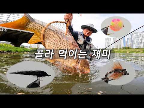 골라 먹이는 재미 - 2026 fly fishing EP5(Carp On The Fly 잉어 플라이 낚시) with CLOVA Dubbing