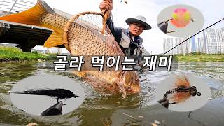 골라 먹이는 재미 - 2026 fly fishing EP5(Carp On The Fly 잉어 플라이 낚시) with CLOVA Dubbing