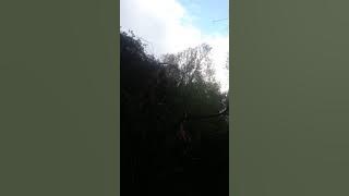 Qapi arapi tu njek leper