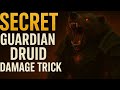 Guardian Druid Damage Tips for M+ 🐻