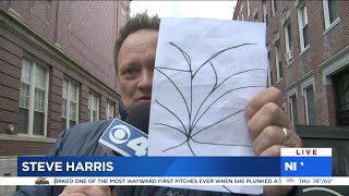 Parking issues make sightseeing in Boston tricky for Steve Harris