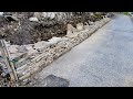 Dry Stone Walling