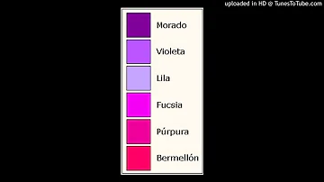 ¿Cuál es la diferencia entre el color violeta y el morado?