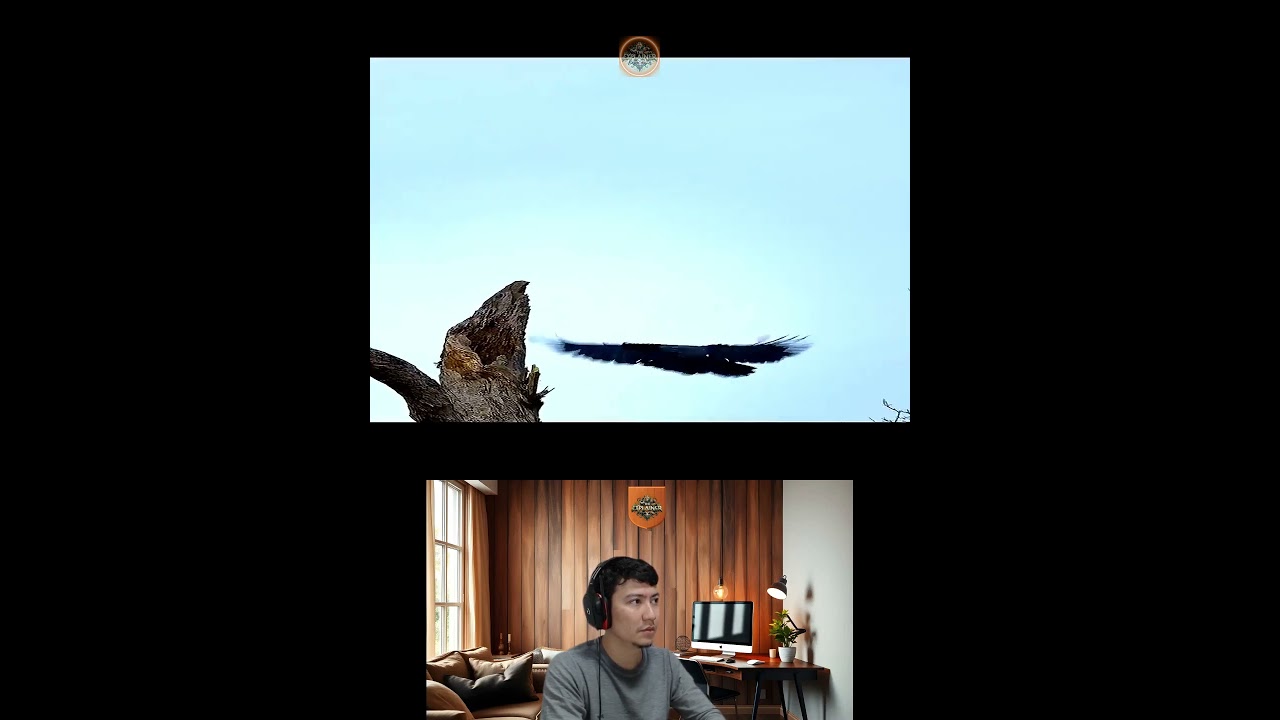 Amazing Animal Growth Journey 