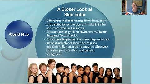 Chapter 7 - Sections 1 and 2 Notes