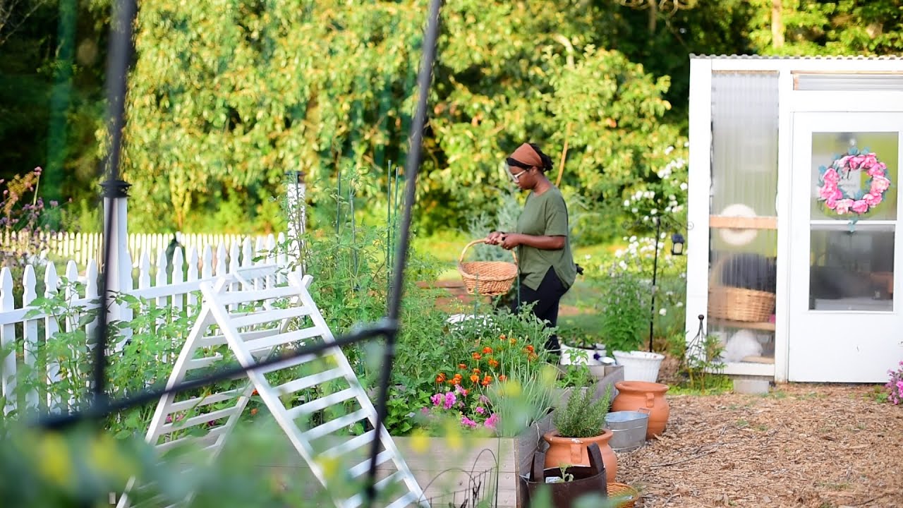 Calm Bean Planting Day// ASMR Gardening (no music, no talking)