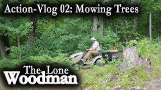 Action-Vlog 02: Mowing Trees