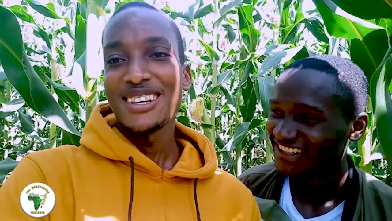 Maisha Mashambani part 1, Nyakati za Kutoka