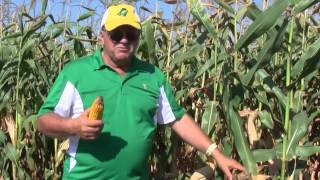 Chapter 3: Pest Control for a Bountiful Harvest