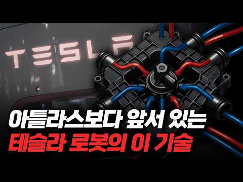 폭발하는 200조 시장, '이 로봇 기술'은 테슬라가 1등인 이유 [류빌리티]