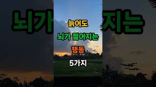 늙어도 뇌가 젊어지는 행동 5가지 #명언 #인생조언 #좋은글 #지혜 #건강 #50대 #60대 #70대