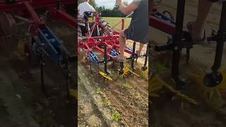 Weeding Machine For Row Crops || Made By Kult-Kress Llc Germany || #Shorts