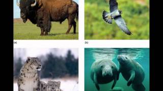 APES Chapter 1 Part 4