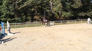 Six Pak to Go canter, trot and poles 10/19/14