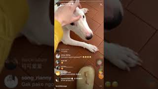 20181107 HYUKOH’S IG LIVE