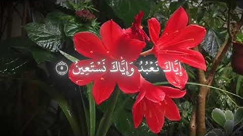 سورة الفاتحة إنها أعظم سورة في كتاب الله، وإنها السبع المثاني، والقرآن العظيم، وهي الحمد❤️‍🩹🌿