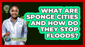 What Are Sponge Cities And How Do They Stop Floods? - Earth Science Answers