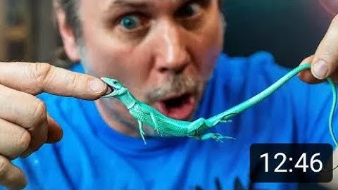 Brian Barczyk explains why thumbnails are so important on YouTube.