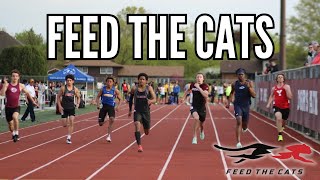 Feed The Cats Programming Training Principles And Guidelines