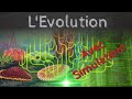 Lvolution thorie et simulation informatique  passescience 39