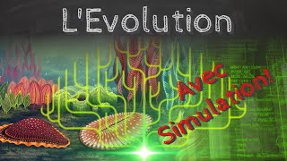L'évolution, théorie et simulation informatique! - Passe-science #39