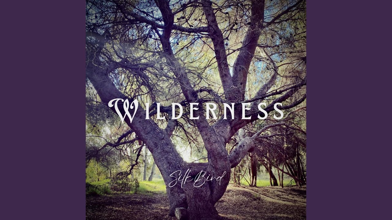Wilderness YouTube