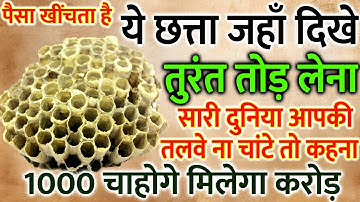 जहाँ मिले यह मधुमख्ही का छत्ता तोड़ लेना, बहुत फायदा मिलेगा | Desi Totke | Spiritual Tree