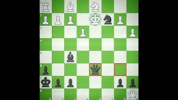 Best Chess Game Ever ?