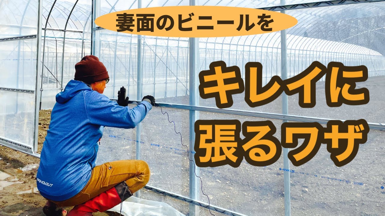 Building a greenhouse] Direct from the pros! Introducing vinyl