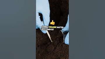 How to Manage a Pasture for Livestock Farming