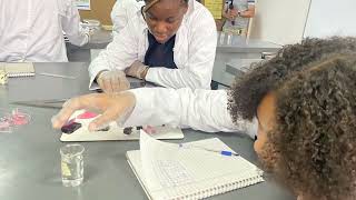 MYP 4 Year 10 Diffusion Experiment