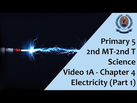 Primary 5 -