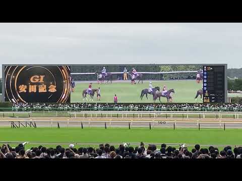 東京競馬場　ターフビジョン　安田記念2023　発送前の映像　JRA 2023.6.4