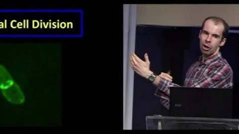 A basic example of biological irreducible complexity: bacterial cell division - Jonathan McLatchie