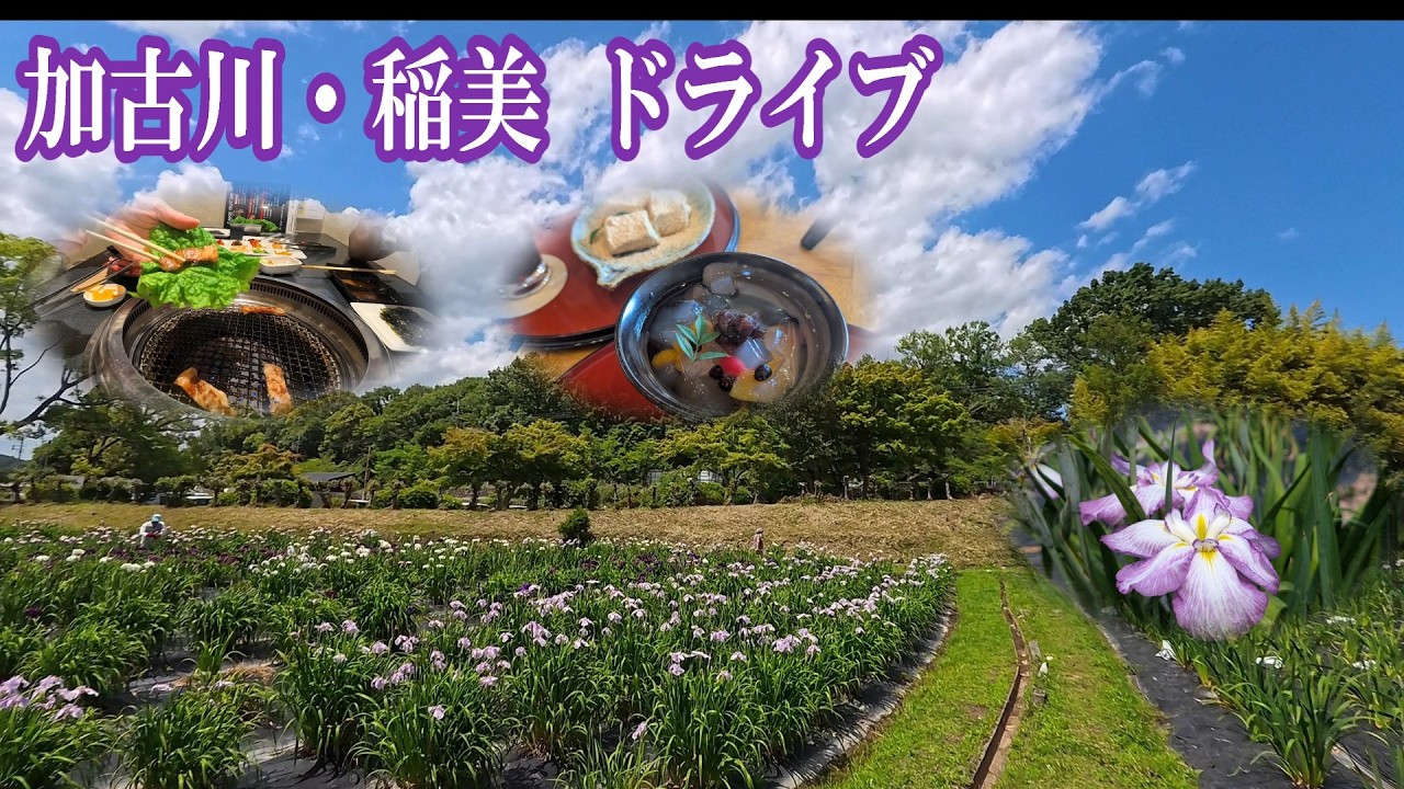 爆買いしちゃうパン工場直売所 老舗精肉店の豚＆和牛焼肉店 老舗わらび餅の喫茶 観覧無料の菖蒲園