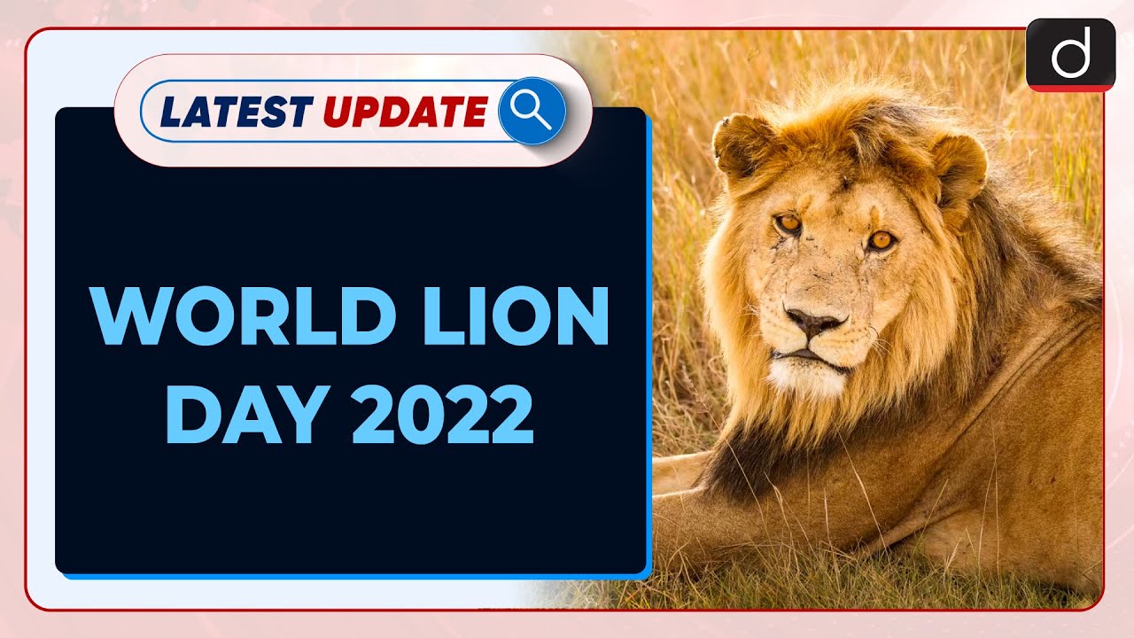 Август лев даты. Лев даты. World Lion Day. I am a Lion.