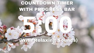 5 Minute Countdown Timer with Relaxing Music and Progress Bar