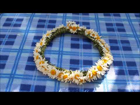 Video: Wie man eine geflochtene Blumenkronenfrisur macht (mit Bildern)