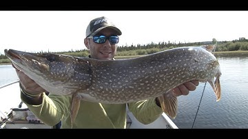 BKK - Product Focus -Titan