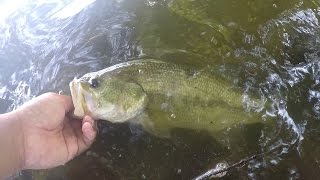 Exploring & Fishing the Twin Silver Lakes (Yardley, PA)