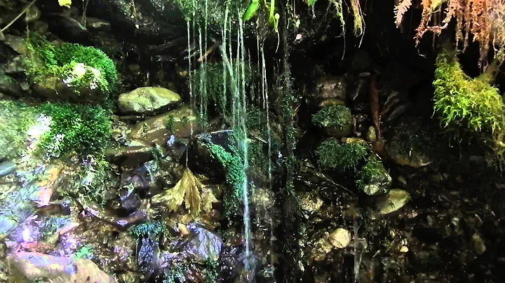 Spring hike in Olympic NP - 17 June 2015