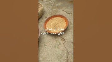 سورة   ال  عمران   القارئ  محمد الفقيه