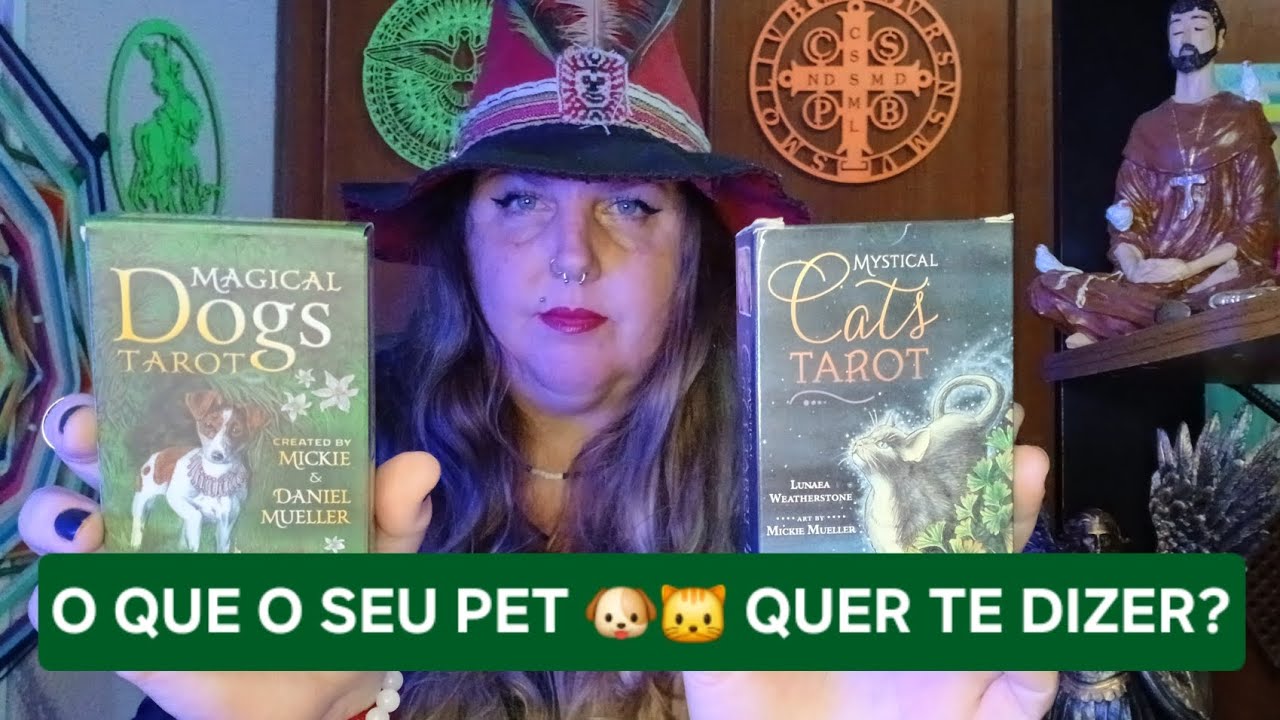 🐱🐶ELES ESTÃO TENTANDO TE AVISAR SOBRE UM INTRUSO, entre outras informações importantes...