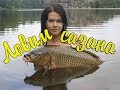 Как поймать Сазана?! Рыбалка на реке Чулым 2017 кукуруза bonduelle рулит
