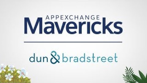 AppExchange Mavericks: Dun & Bradstreet Helps Keep Your Data Clean