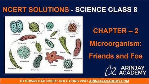 NCERT Solutions for Class 8 Science Chapter 2 - Microorganism : Friends and Foe