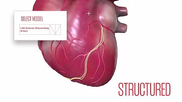 MedAI iMerit Showreel